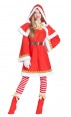 Costume da Babbo Natale per Donna con Mantello e Cappuccio per Carnevale | La Casa di Carnevale